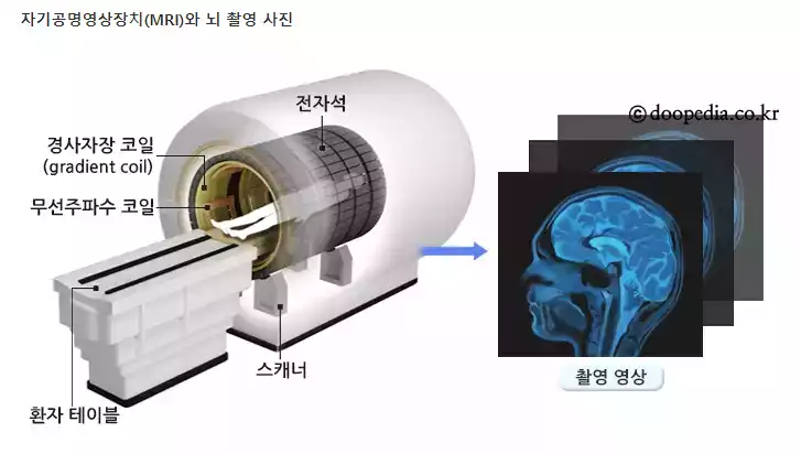 image image.png