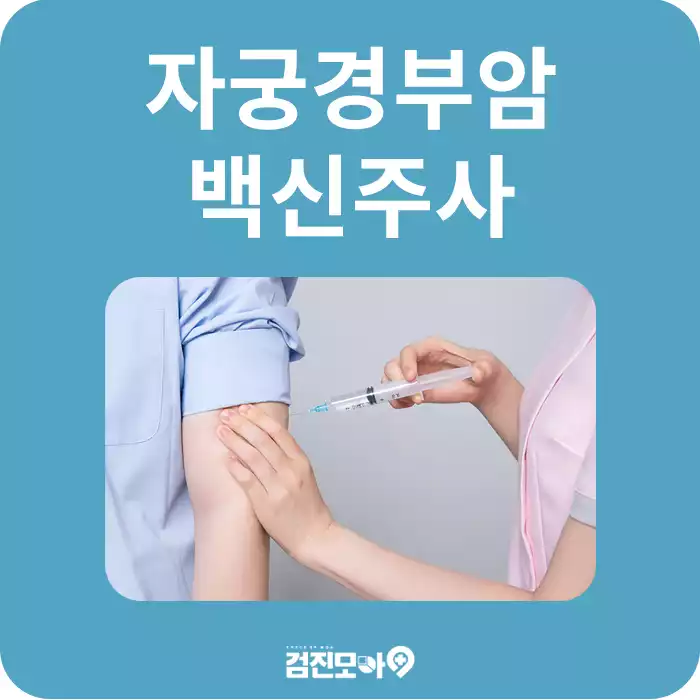 검진정보(자궁경부암검사).jpg