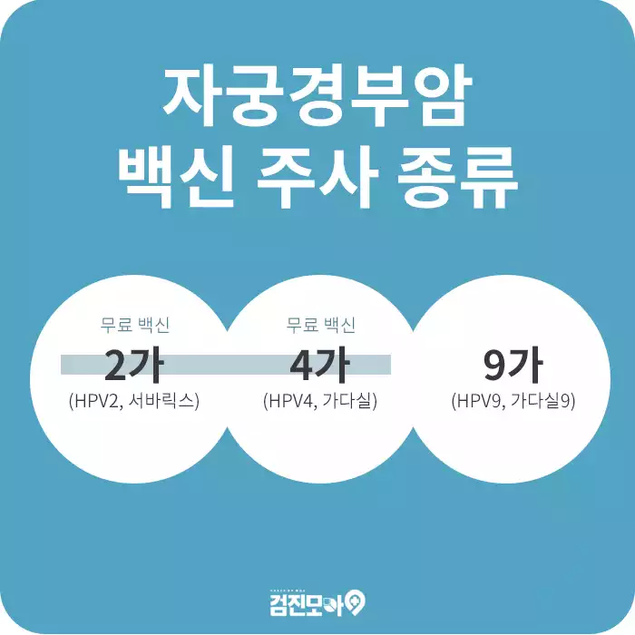 검진정보(자궁경부암검사)-2.jpg