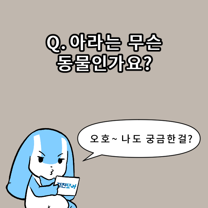 6 종합건강검진.jpg