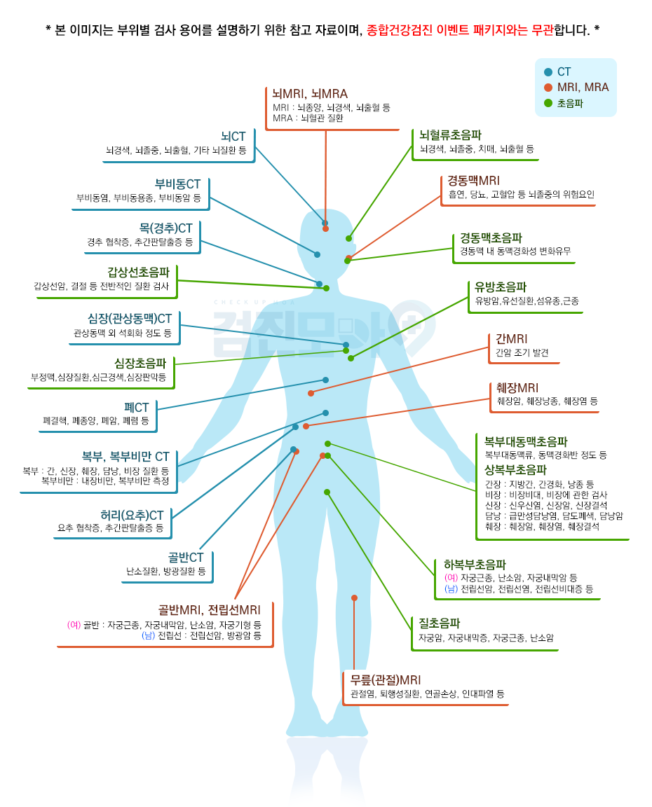 부위별-검진항목.png