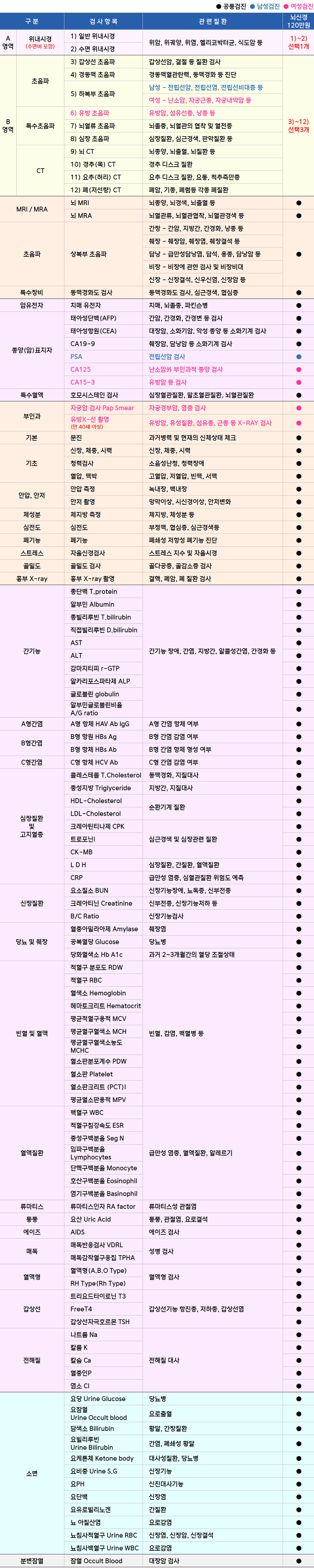뇌신경.png