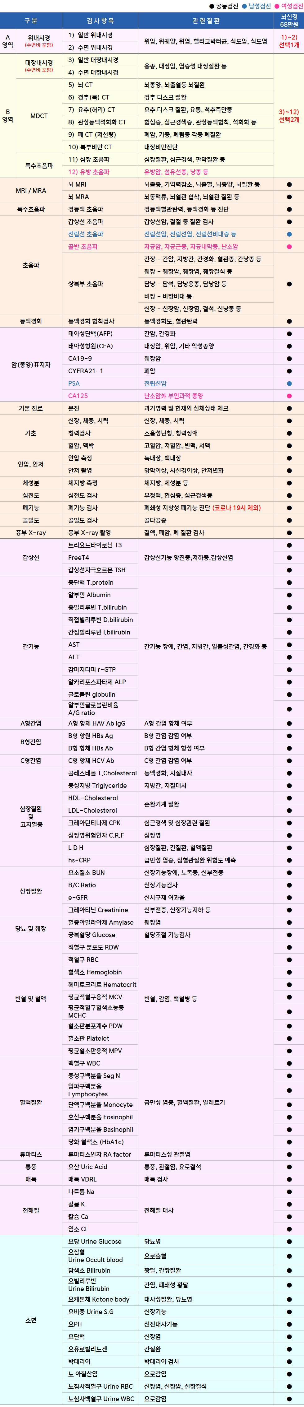 뇌신경.png