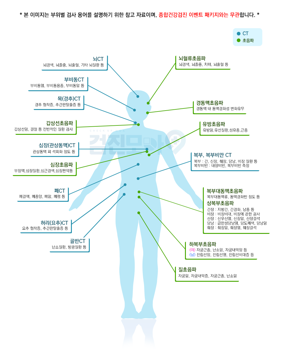 초음파_CT.png
