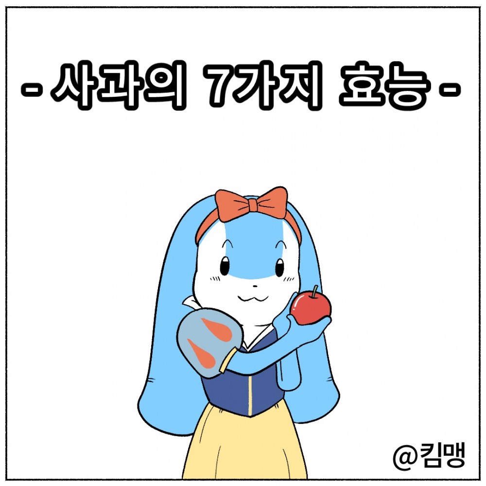 1 사과효능.jpg