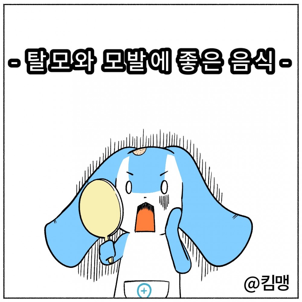 1 탈모에좋은음식.jpg