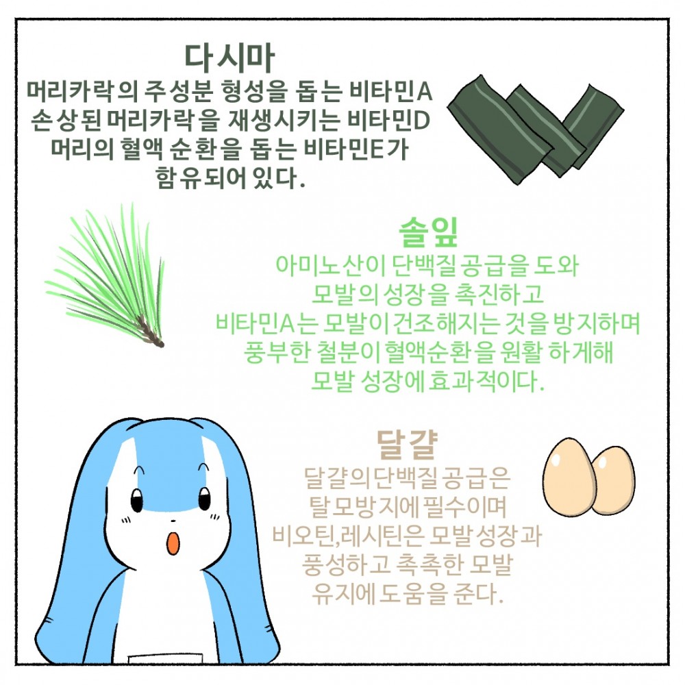 6 다시마효능 계란효능.jpg