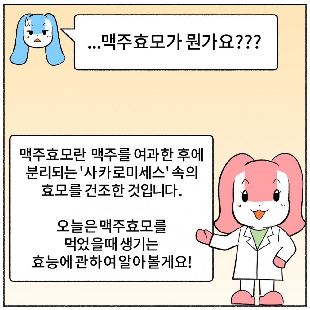 5 맥주효모.jpg