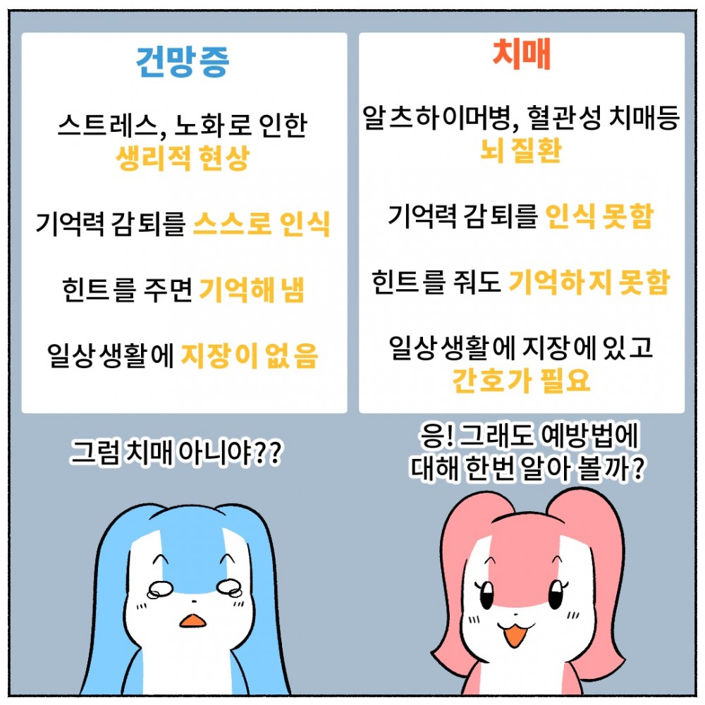 6 건망증과 치매 차이점.jpg