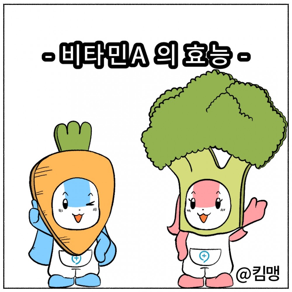 1 비타민A효능.jpg