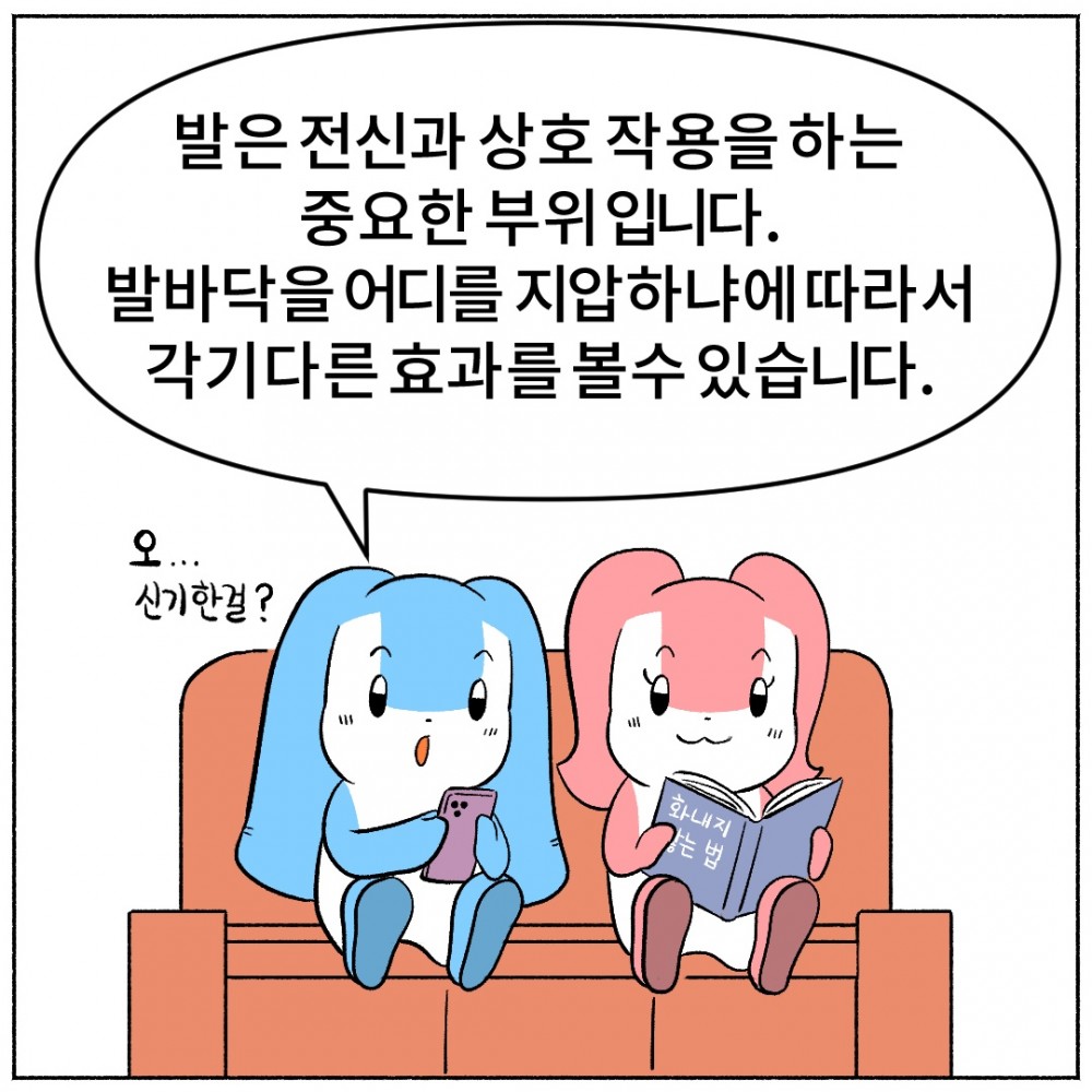 2 박바닥지압효과.jpg