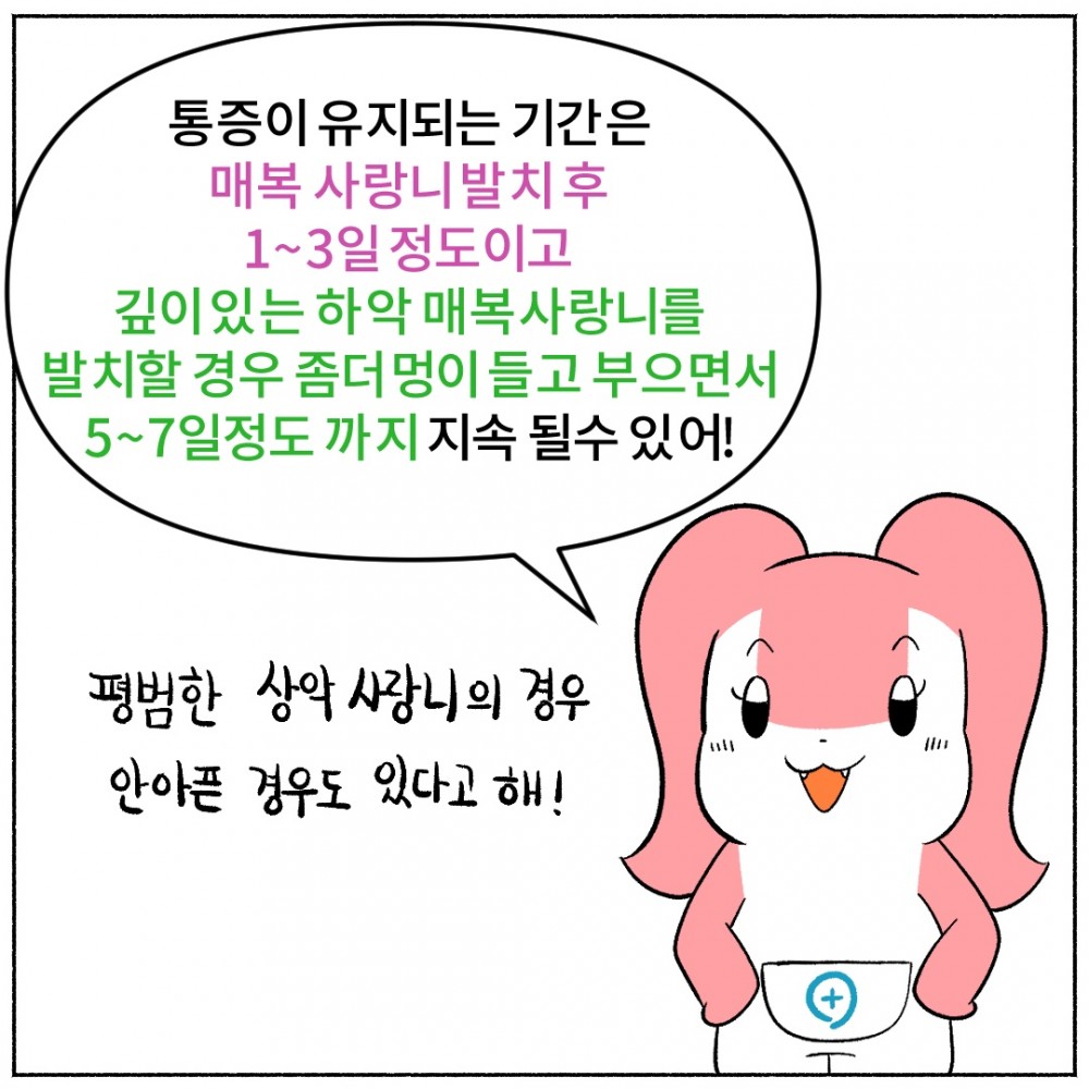 8매복 사랑니 발치.jpg