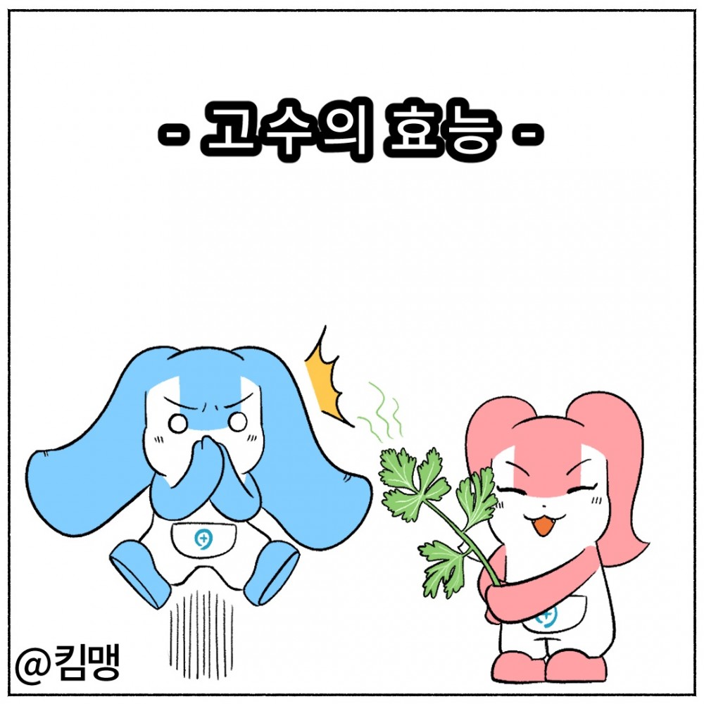 1. 고수의효능.jpg