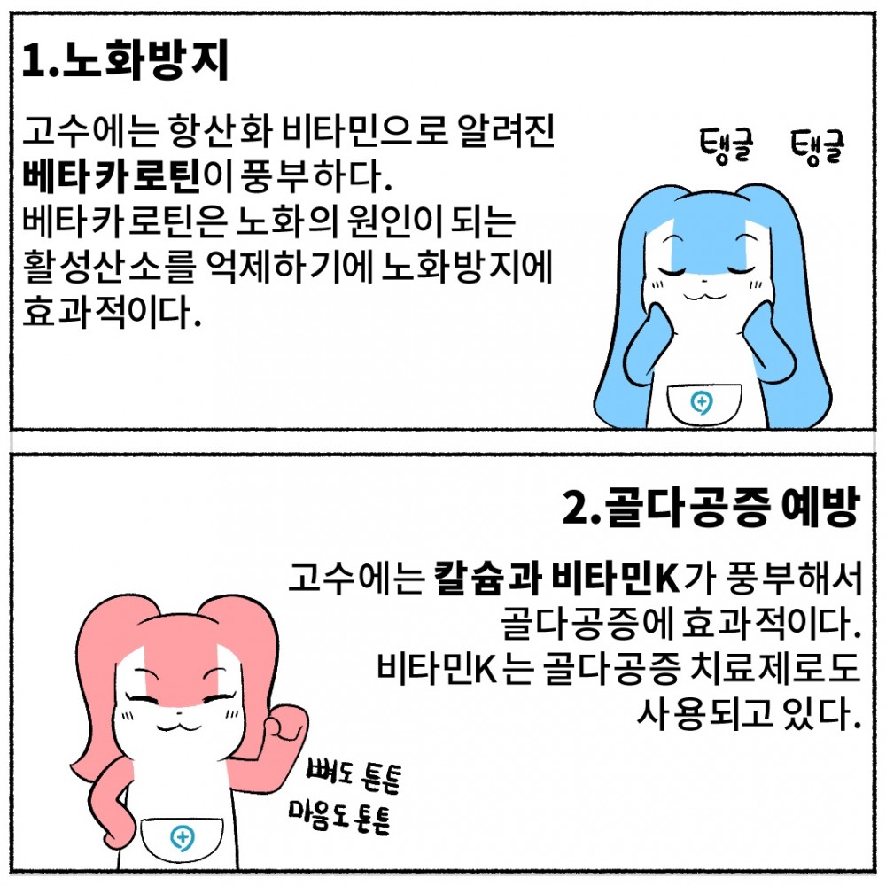 4. 고수 노화방지 골다공증.jpg