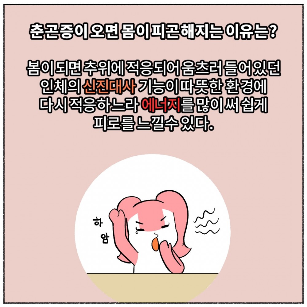 6. 춘곤증 만성피로.jpg