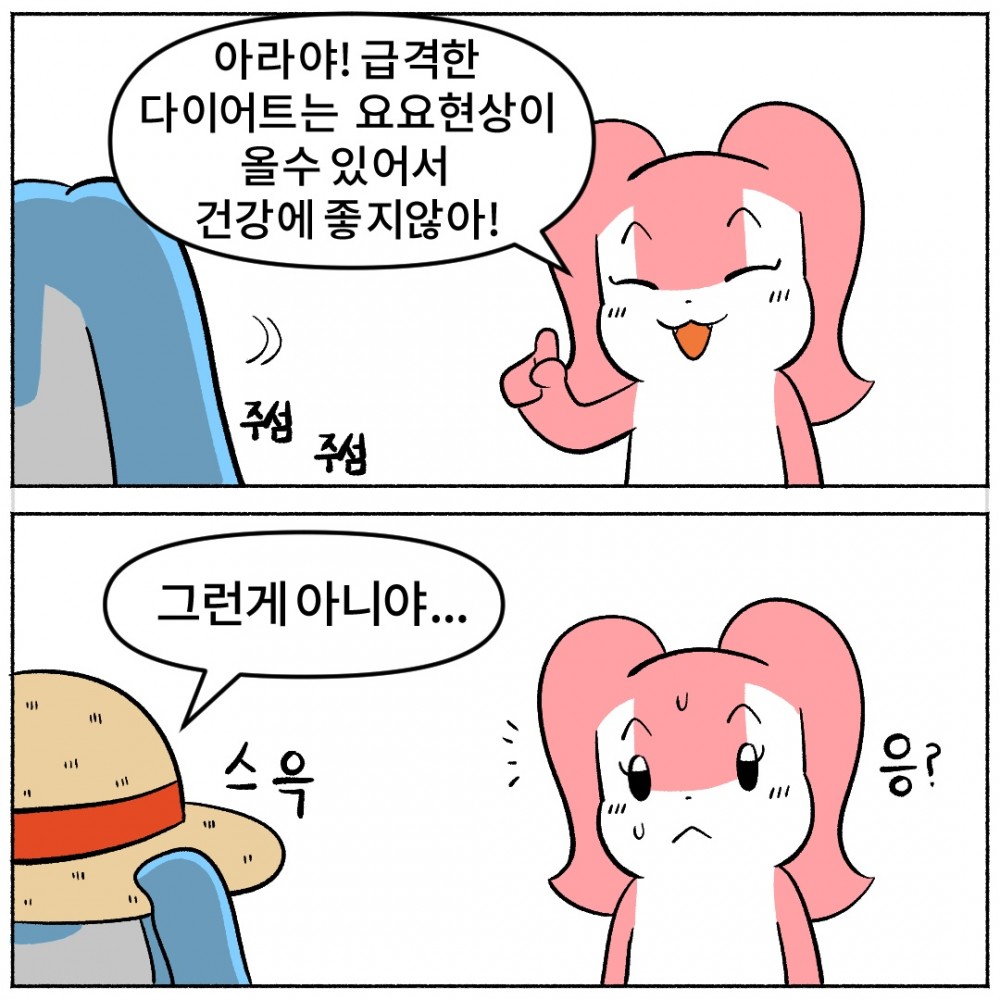 9. 다이어트 요요.jpg