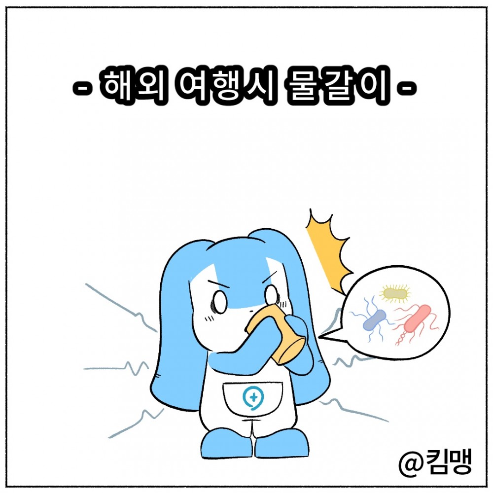 01. 해외여행 물갈이.jpg