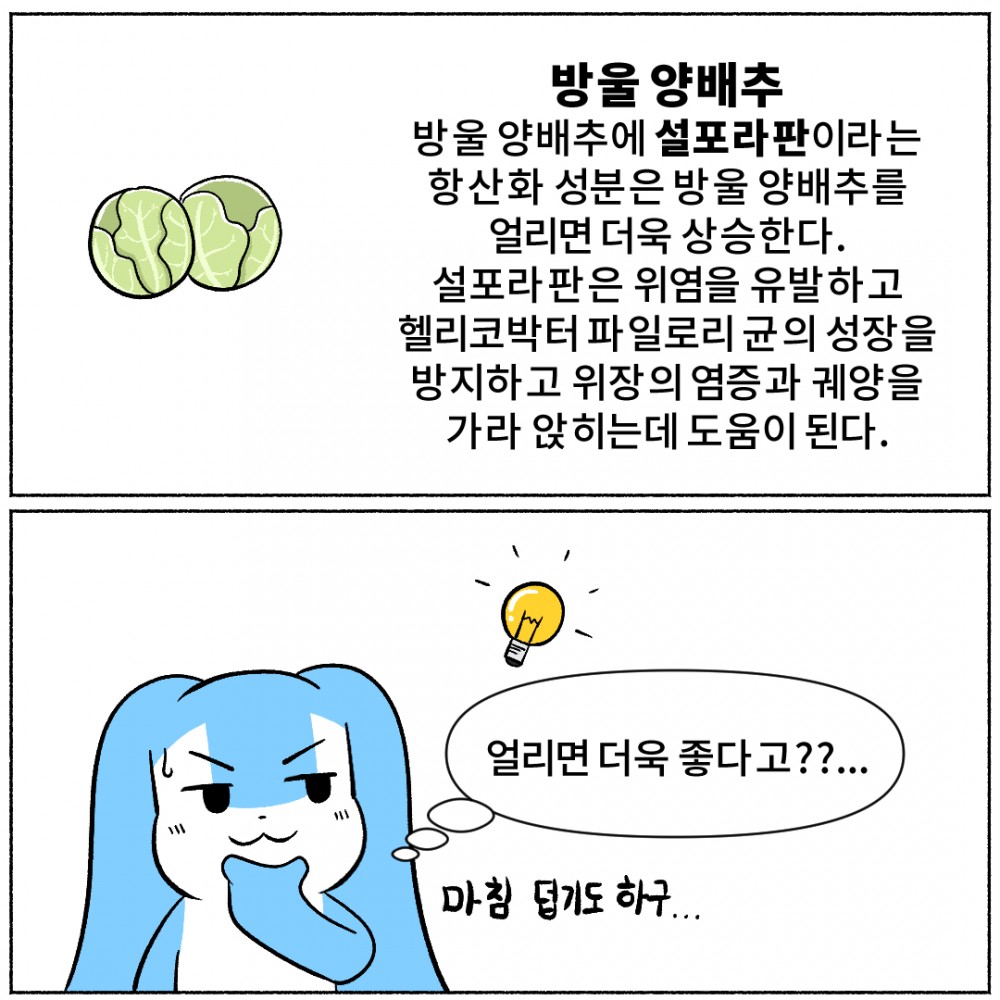 8. 냉동 양배추.jpg